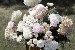 Richwine's Nature's Gifts - 6