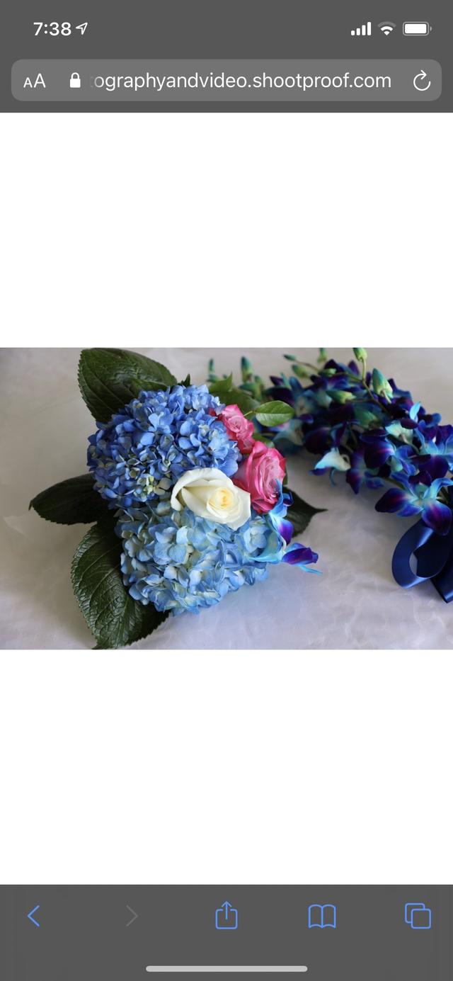 Mloo Flower at Deerfield Florist - 2