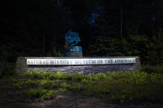 The Wild Center - 6