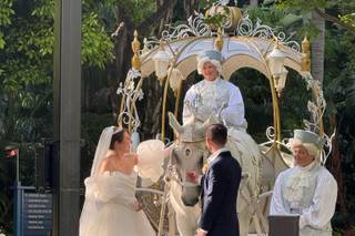 Disneyland Hotel - 12