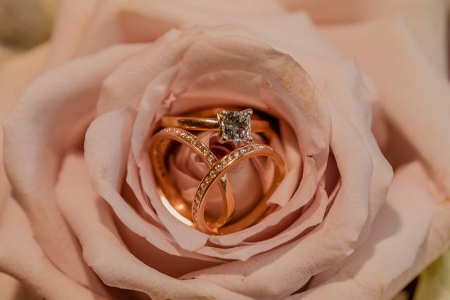 Stephanie Walls Photography 4