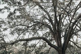 Tahiry Humrich Photography - 12