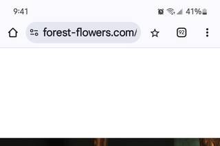Forest Flowers - 91