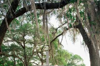 Sarah Hedden Photography - 7