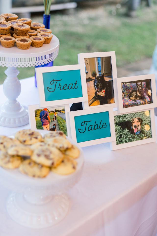 Michael & Jasmine Photography - 2