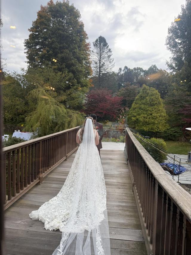 The Persnickety Bride - 1