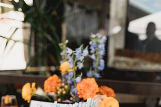 MLH Events - 14