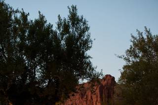 Weddings In Sedona, Inc. - 63