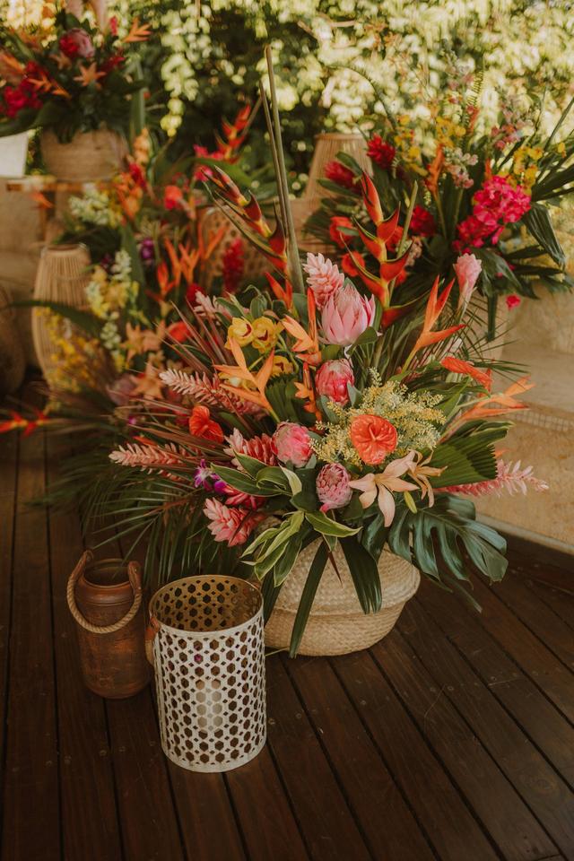 Tropical Occasions - 2