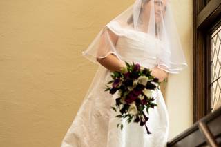Viscosi Photography - 5