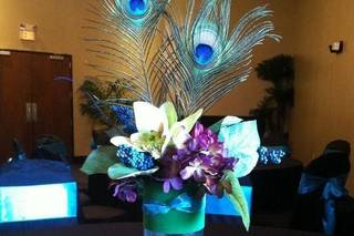 Personal Touch Events of Tampa - 1
