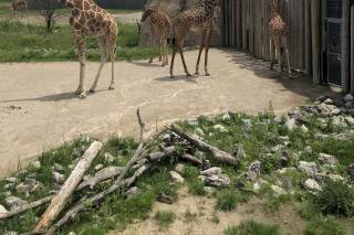 Columbus Zoo and Aquarium - 20