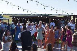 Springs Sounds Entertainment - 5