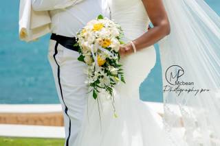 Mcbean Photography Jamaica - 42