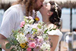 Erica Braley Photography - 7