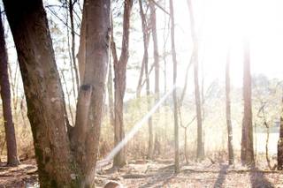 Elizabeth Page Photography - 32