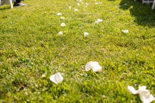 Matthew Cavanaugh Photography - 6