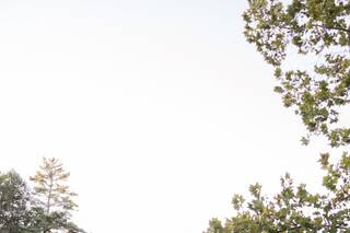 Sara Haines Photography - 5