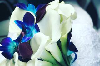 A Wedding Officiant Fort Lauderdale - 1