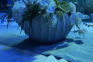 Styled In Blooms 