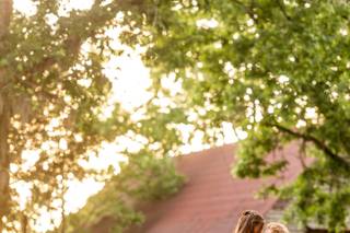 Brittany Morgan Photography - 9