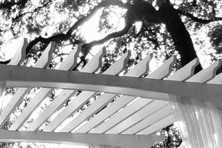Gardens at Old Town Helotes - 8