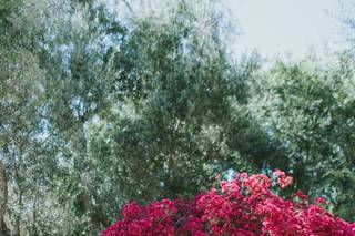 Circle Bar B Guest Ranch - 22