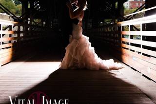 Vital Image - 12