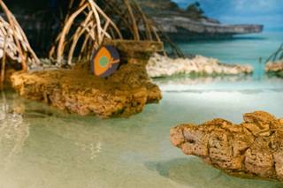 New England Aquarium - 7