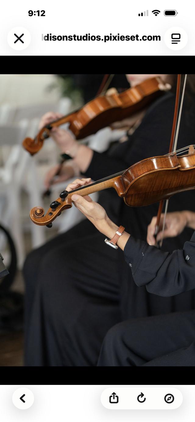 The Noble Strings - 2