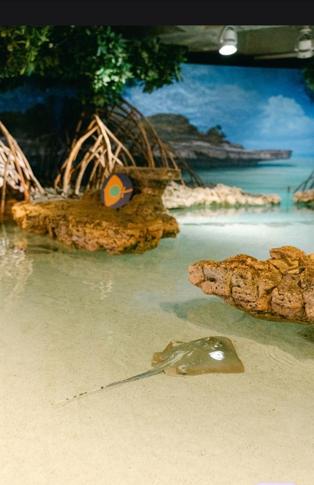 New England Aquarium - 2