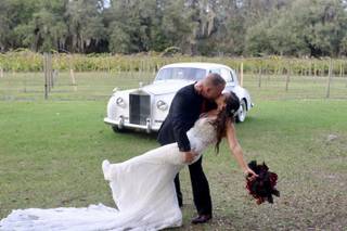 Ever After Farms Vineyard - 20