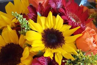 LuLu Florist - 6