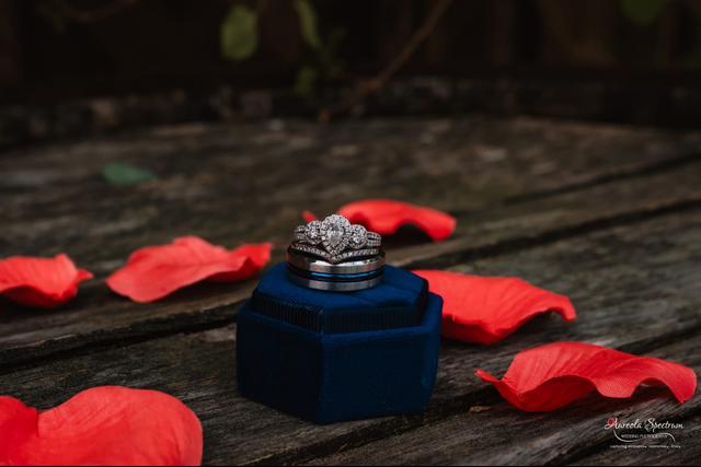Aureola Spectrum Photography - 3