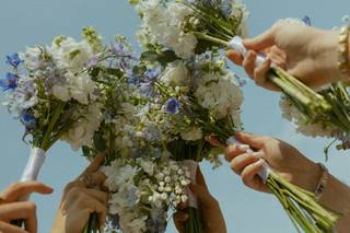 Mayfly Flowers - 6