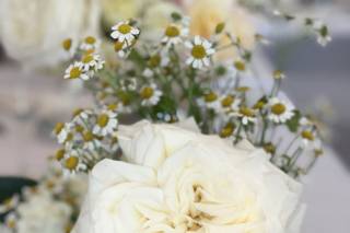 Sacred Floral Design - 5
