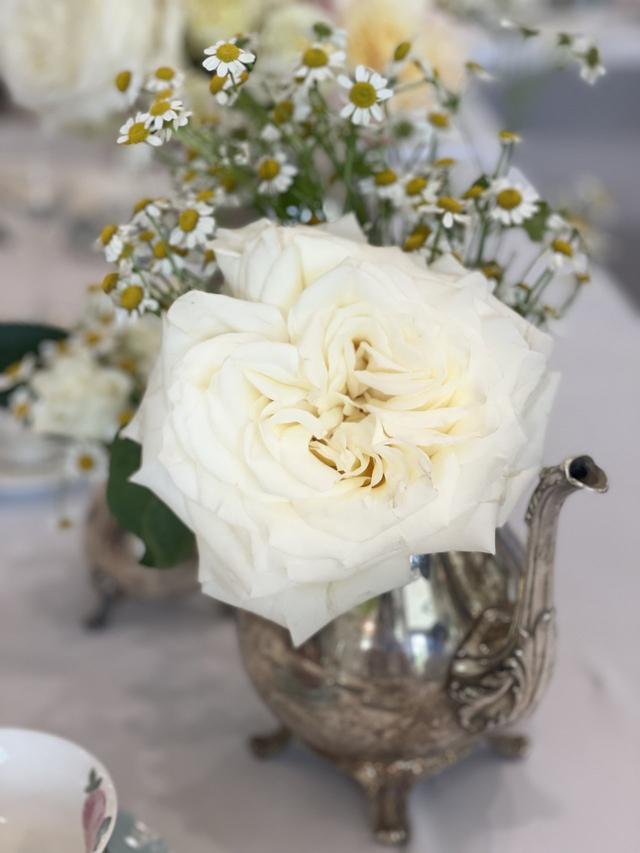 Sacred Floral Design - 1