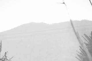 Zelle Duda Photography - 18