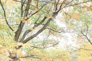 Kathryn Hyslop Photography - 15