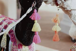 Irresistible Events & Services - 11