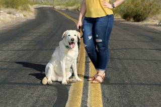 Flat Rate Photography - 7