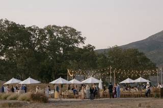 Mia Jasmine Weddings - 6