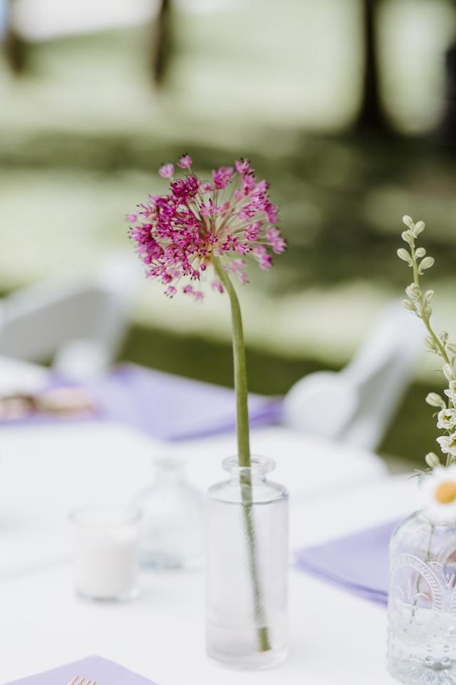 A Pretty Flower - 2