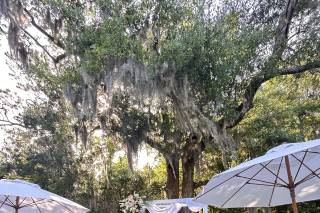 Wrightsville Manor - 12