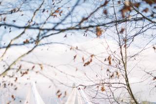 Festive Event Planning - 13