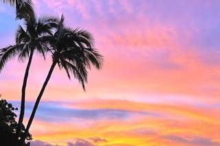Bliss in Bloom - Big Island of Hawaii - 17