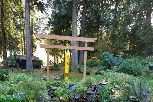 Radiant Touch Wedding Officiant 1