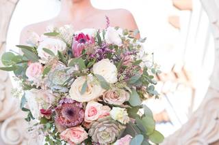 Plain Jane Photography - 8