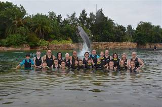 Discovery Cove, Orlando - 35