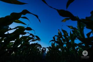 Courtland Photography - 20